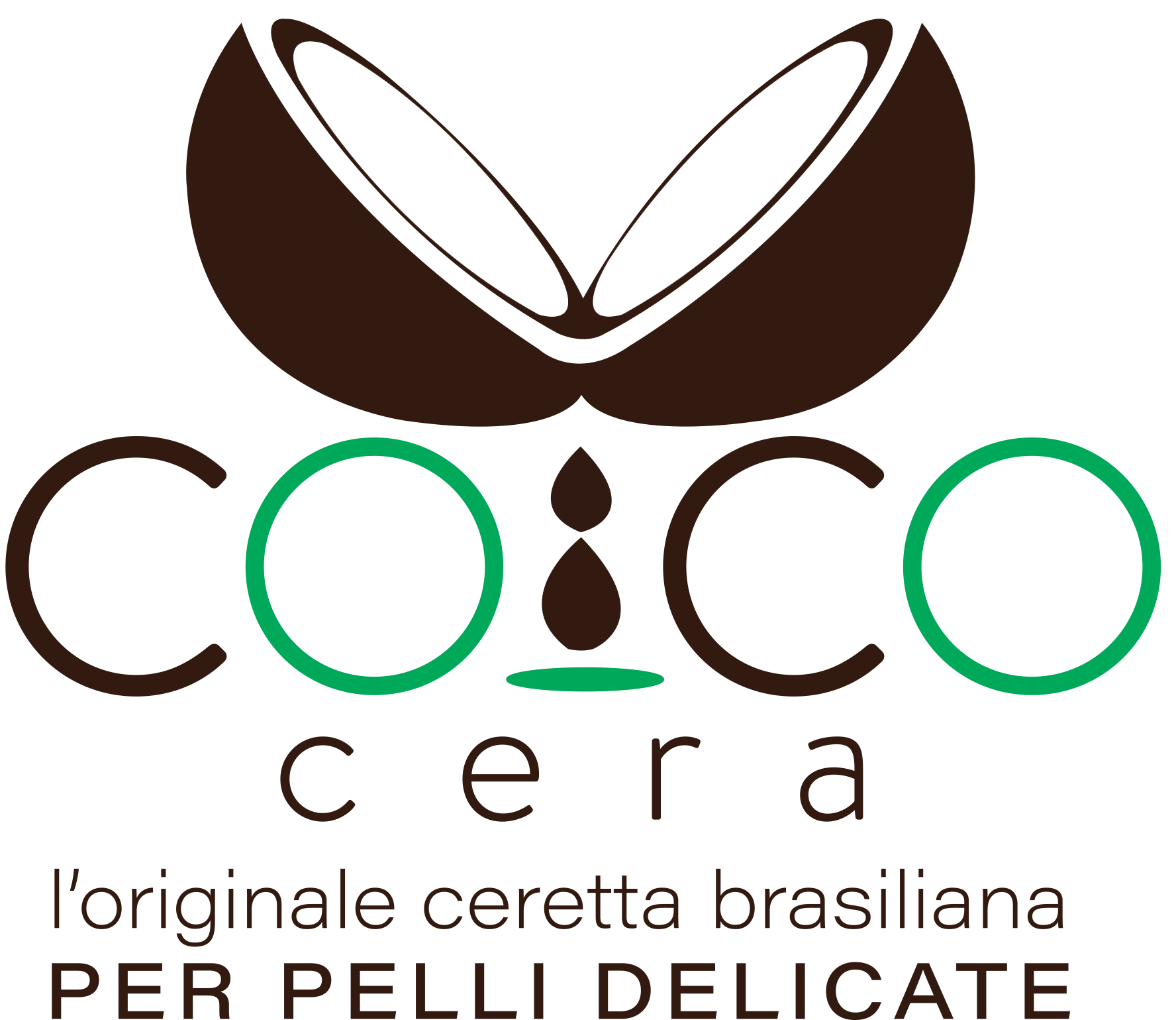 cococera_ceretta_brasiliana